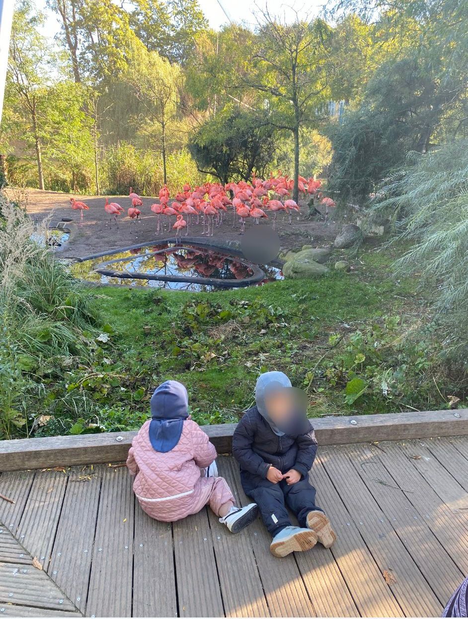 Aktiv og oplevelsesrig dag i dagplejen
